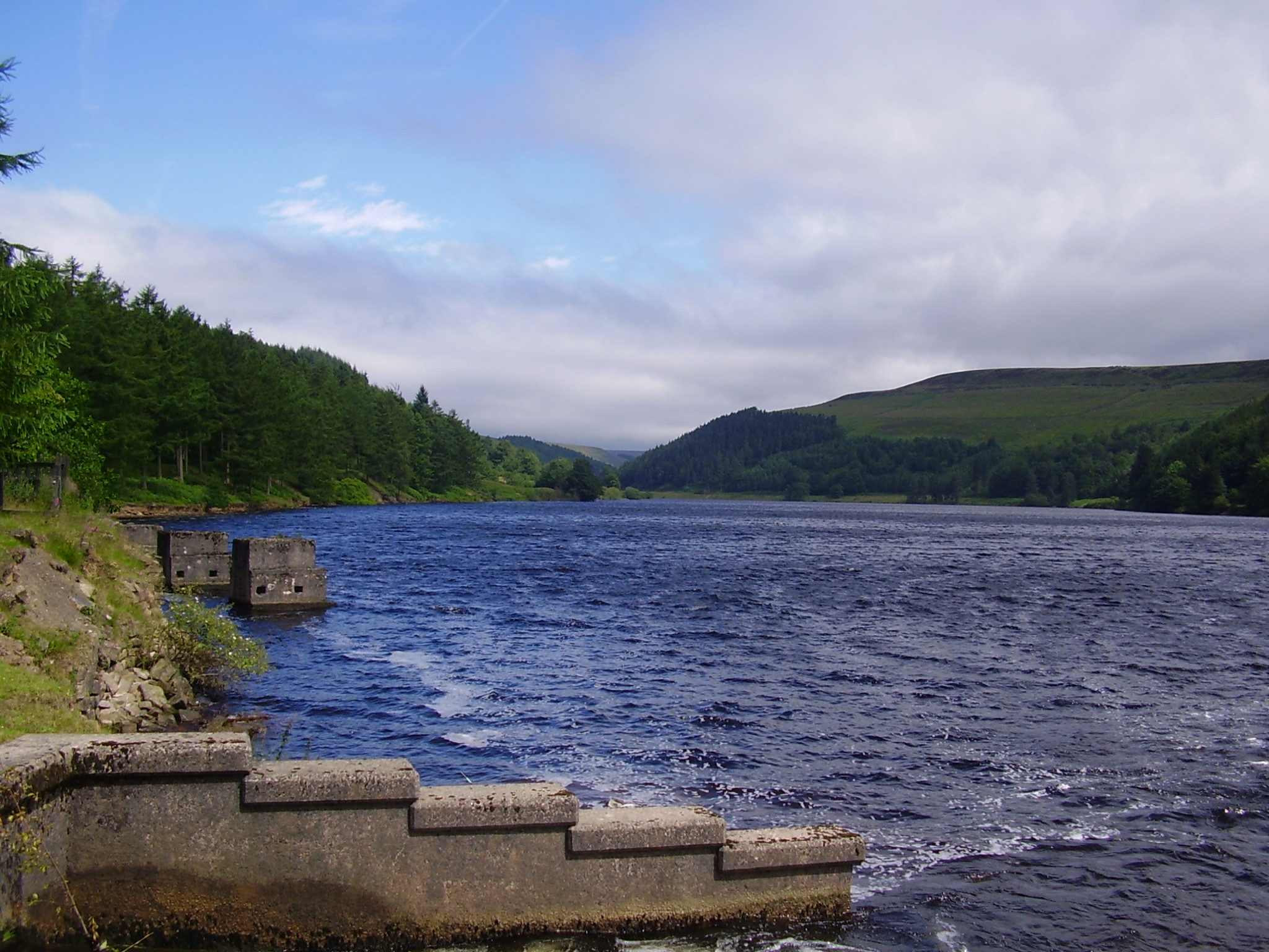 Reservoir - logging under water